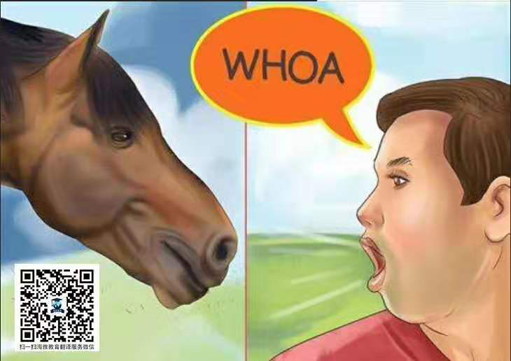 talk horse